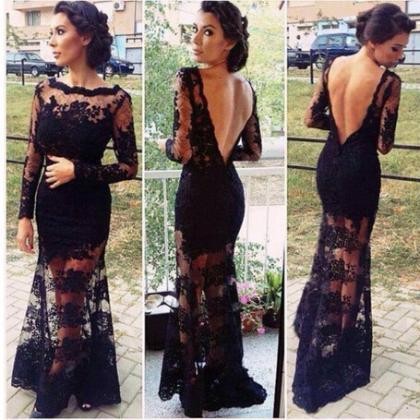 Transparent Embroidered Lace Dress